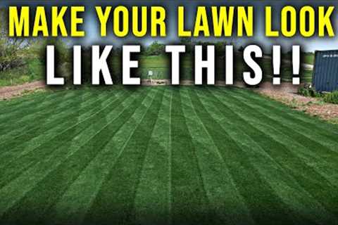 Fix Your Damaged Lawn With Overseeding