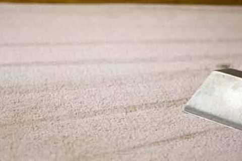 What Are The Latest Innovations In Professional Carpet Cleaning