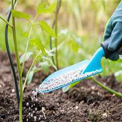 Watering and Fertilizing Plants: A Guide for Maintaining Your Landscape