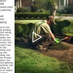 Easy Way To Remove Tree Stumps 801 466 8044 - Tree Services - Truco