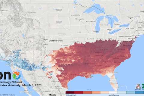 It’s The Earliest Spring In 40 Years In Some U.S. Regions