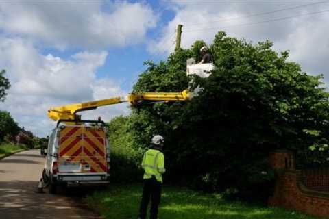 Safe and Sound: Mastering Tree Pruning and Removal Safety in Municipal Environments