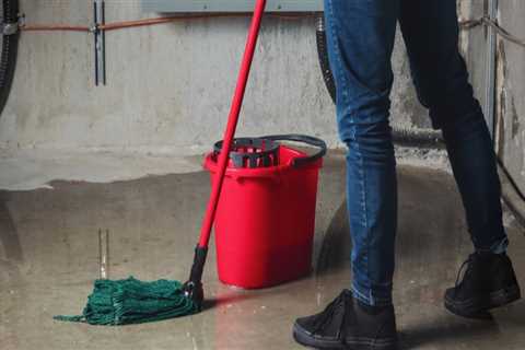 Prioritizing Your Property In Royal, AR: Water Damage Restoration Or Groundskeeping?