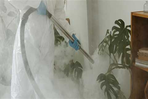 House Cleaning Service Solutions: How Can Pest Control Help Keep Your Home Clean And Pest-Free In..