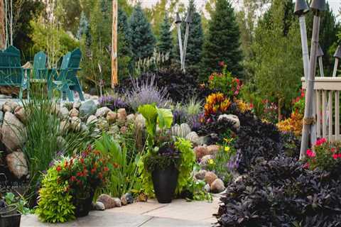 Creating a Budget for Your Landscape Design