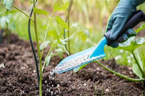 Watering and Fertilizing Plants: A Guide for Maintaining Your Landscape