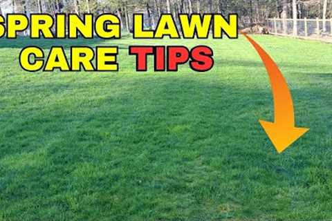 Essential Steps for a Perfect Spring Lawn