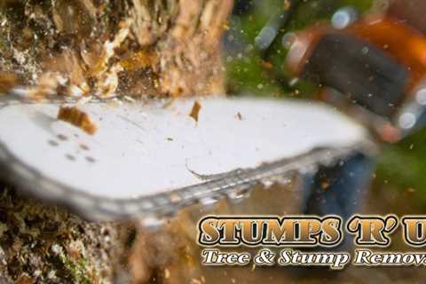 Trusted Tree Services in St. Thomas Ontario - Stumps 'R' Us