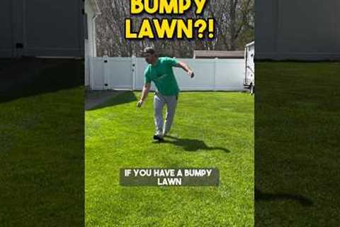 How to level a bumpy lawn! #lawncare #lawnleveling #grass #dadbod #howto #diy #spring #renovation