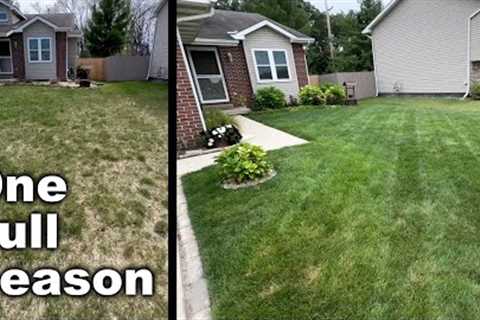 Thickening Up A Lawn (Cool Season) - 1 Year of Results and Learnings