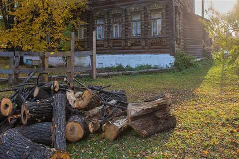 Preserving The Past, Enhancing The Future: Essential Techniques For Log Home Restoration, Including ..