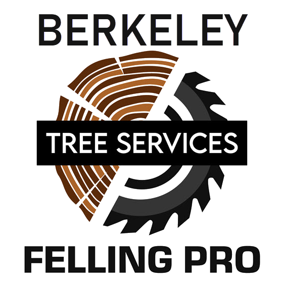 Inwood Tree Service - Berkeley Felling Pro