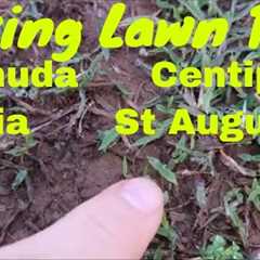 Spring Lawn Care Tips - Bermuda, Zoysia, Centipede and St  Augustine Lawns