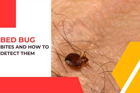 Niagara Pest Control: Why We Don’t Feel Bed Bug Bites and How to Detect Them