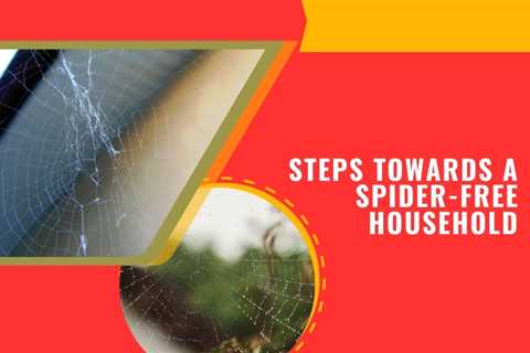 Cambridge Pest Removal: What You Need to Know About Spider Webs