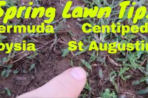 Spring Lawn Care Tips - Bermuda, Zoysia, Centipede and St  Augustine Lawns