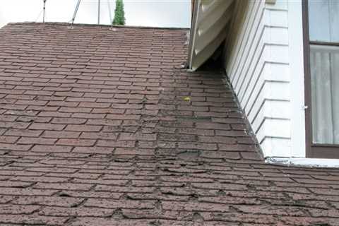 What does a roof look like when it needs to be replaced?