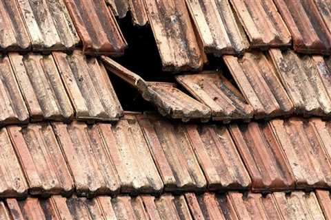 The Top Cause of Roof Failure and How to Prevent It