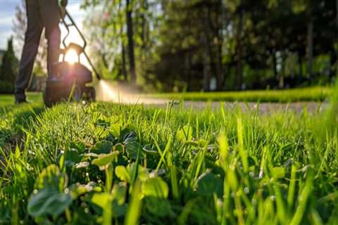 Organic Weed Control Methods for a Beautiful and Functional Outdoor Space