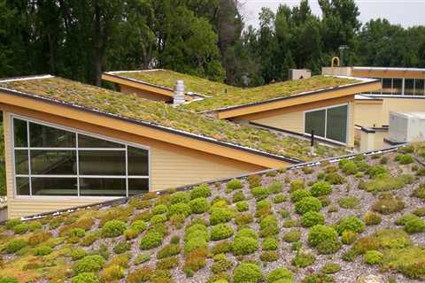 A Comprehensive Look at Vegetative Roofs for Home and Business