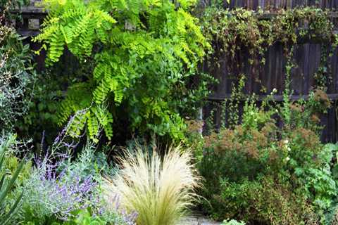 Creating a Drought-Resistant Landscape: Tips and Tricks for a Green Home Design