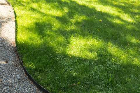 Mowing and Edging: How to Enhance Your Outdoor Living Space