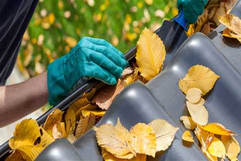 Gutter Cleaning and Maintenance Packages: The Complete Guide