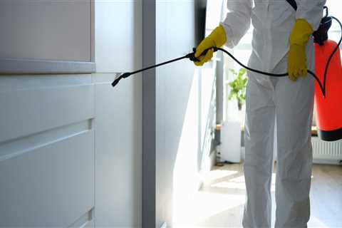 The Importance Of Professional Mold Remediation For Residential Kitchen Cabinets In Philadelphia