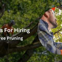 Why Hire a Pro for Tree Pruning? Top 7 Benefits Explained