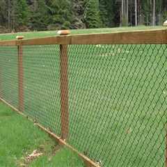 10 Affordable Fencing Options That Look Expensive (From an Expert's Perspective)