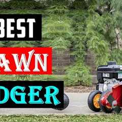 Top 5 Best Lawn Edger 2024 | Best Lawn Edgers Buying Guide