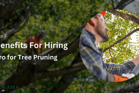 Why Hire a Pro for Tree Pruning? Top 7 Benefits Explained