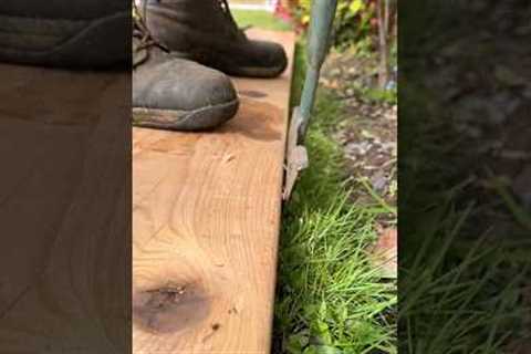 Get That Perfect Edge On Your Lawn This Spring #edge #lawn #diy #garden  #lawncare #satisfying