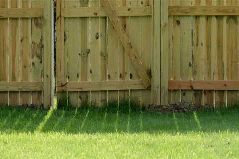 The Most Affordable Fencing Options for Homeowners