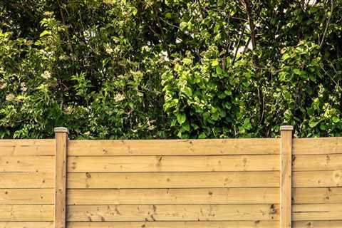 The Most Affordable Fencing Options for Your Home