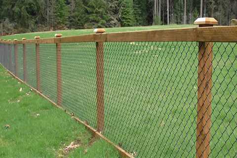 10 Affordable Fencing Options That Look Expensive (From an Expert's Perspective)