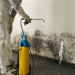 Why You Should Prioritize Mold Removal In Philadelphia Before Foundation Repair