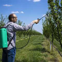 THE DANGERS OF OVERWATERING YOUR TREES