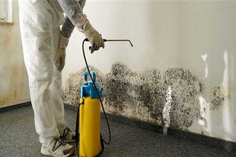 Why You Should Prioritize Mold Removal In Philadelphia Before Foundation Repair