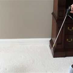 Breathe Easy: The Importance Of Mold Inspection And Upholstery Cleaning In Chicago Homes