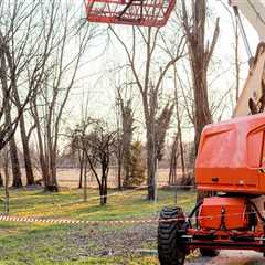 Maximizing The Benefits Of Tree Services And Organic Pest Control For Your Property