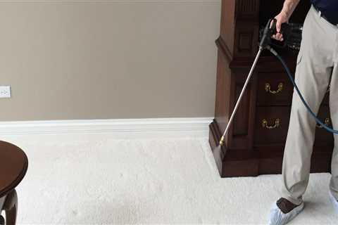 Breathe Easy: The Importance Of Mold Inspection And Upholstery Cleaning In Chicago Homes