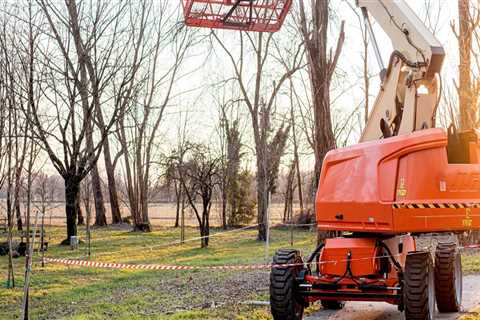 Maximizing The Benefits Of Tree Services And Organic Pest Control For Your Property