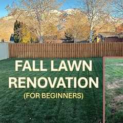 Fall Lawn Renovation Steps for Beginners!