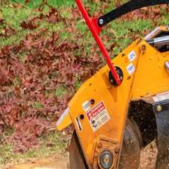 Elevate Front Yard Landscaping In Portland By Removing Unsightly Tree Stumps