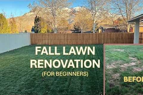 Fall Lawn Renovation Steps for Beginners!