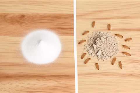 Boric Acid Vs Diatomaceous Earth