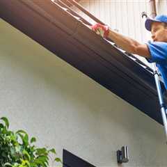 Mold Inspection Northern Virginia: Why Gutter Installation Services Should Be Your First Line Of..