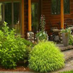 Tips and Tricks for Maintaining a Log Home