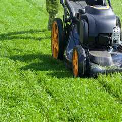 Are There Any Guarantees or Warranties for Lawn Care Services?